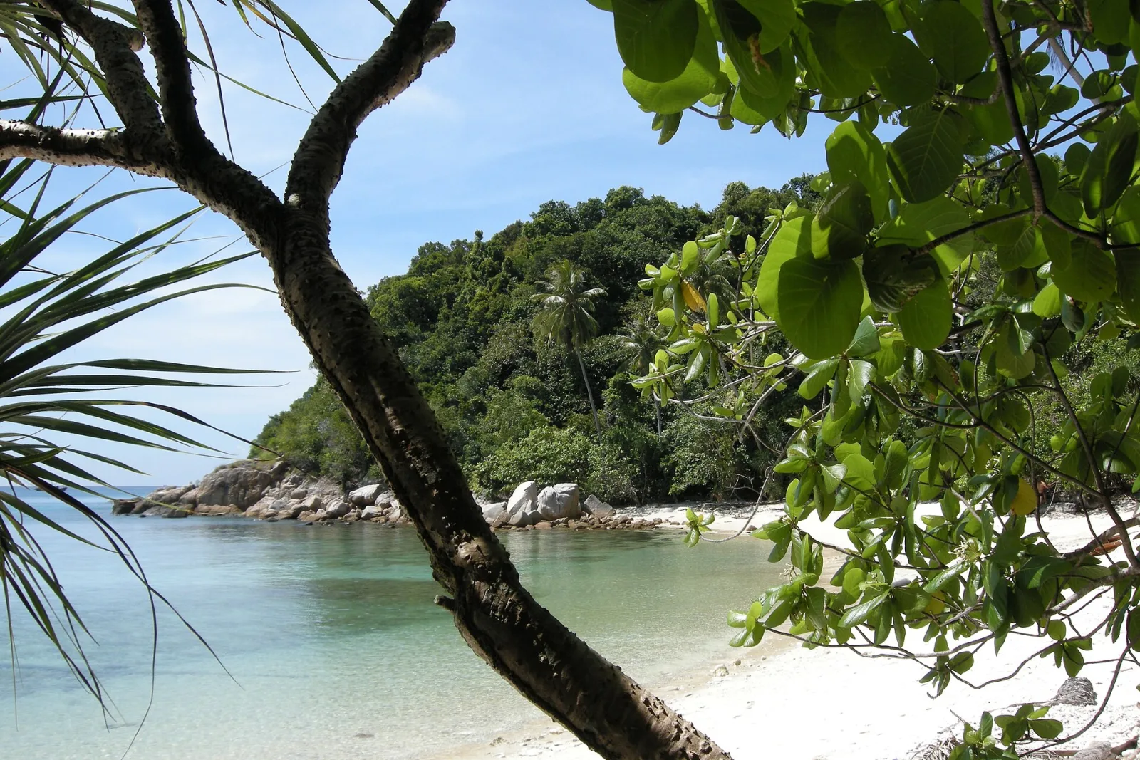 A shaded tropical lagoon with clear water on Perhentian Kecil.