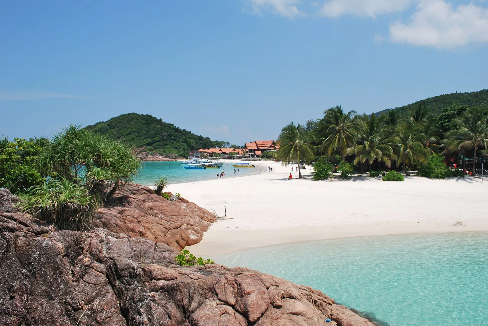A quiet cove with palm trees and clear water at Redang.