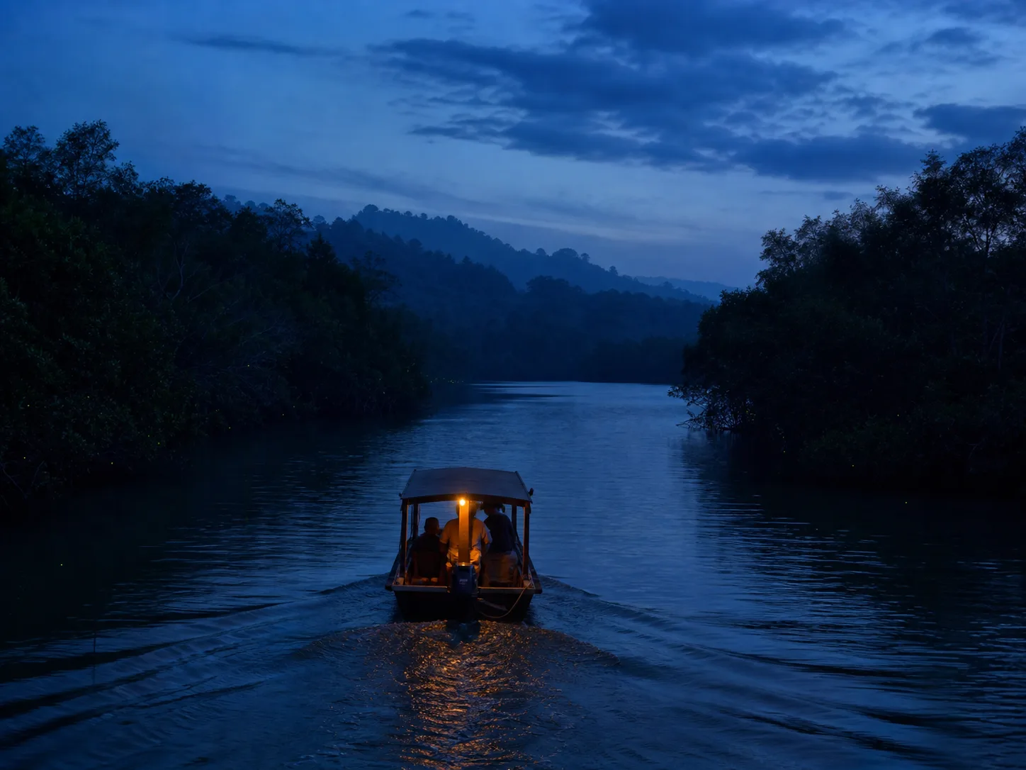 A small passenger boat travelling along a mangrove river at blue hour.