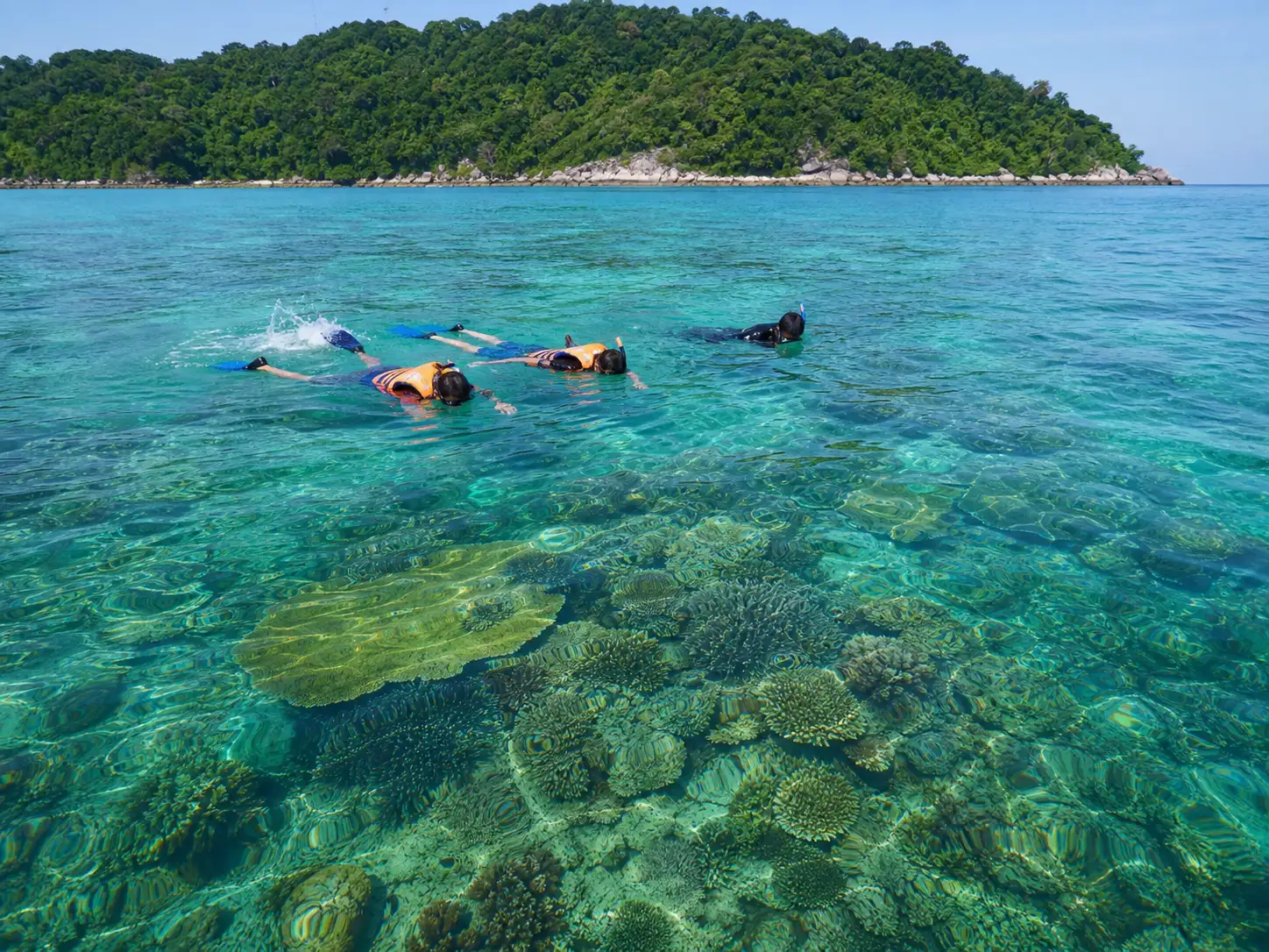 A small guided snorkelling group moving above a clear tropical reef.